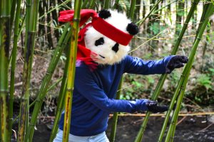 Costume de Panda avec un bandeau rouge
