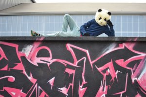 Costume de scène avec un tête de panda